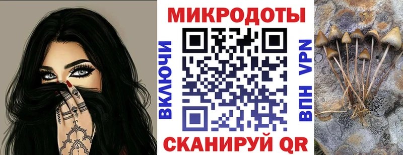 купить наркотики цена  Первомайск  гидра ссылки  Псилоцибиновые грибы мухоморы 